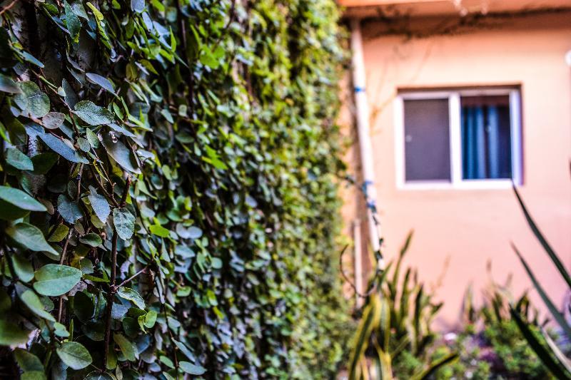 Econosuites Monterrey Bagian luar foto